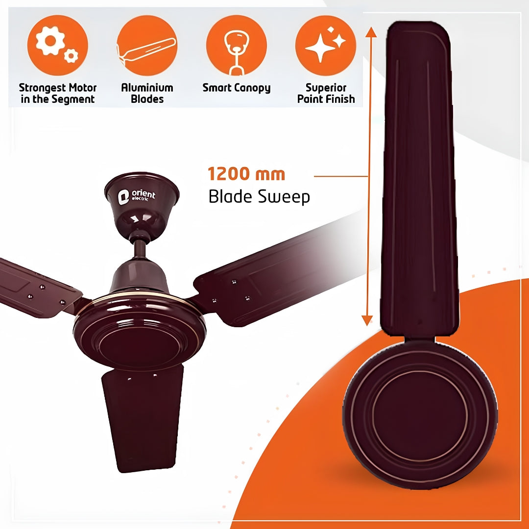 ORIENT 1200 MM OCEN AIR BROWN 210-31348808120103