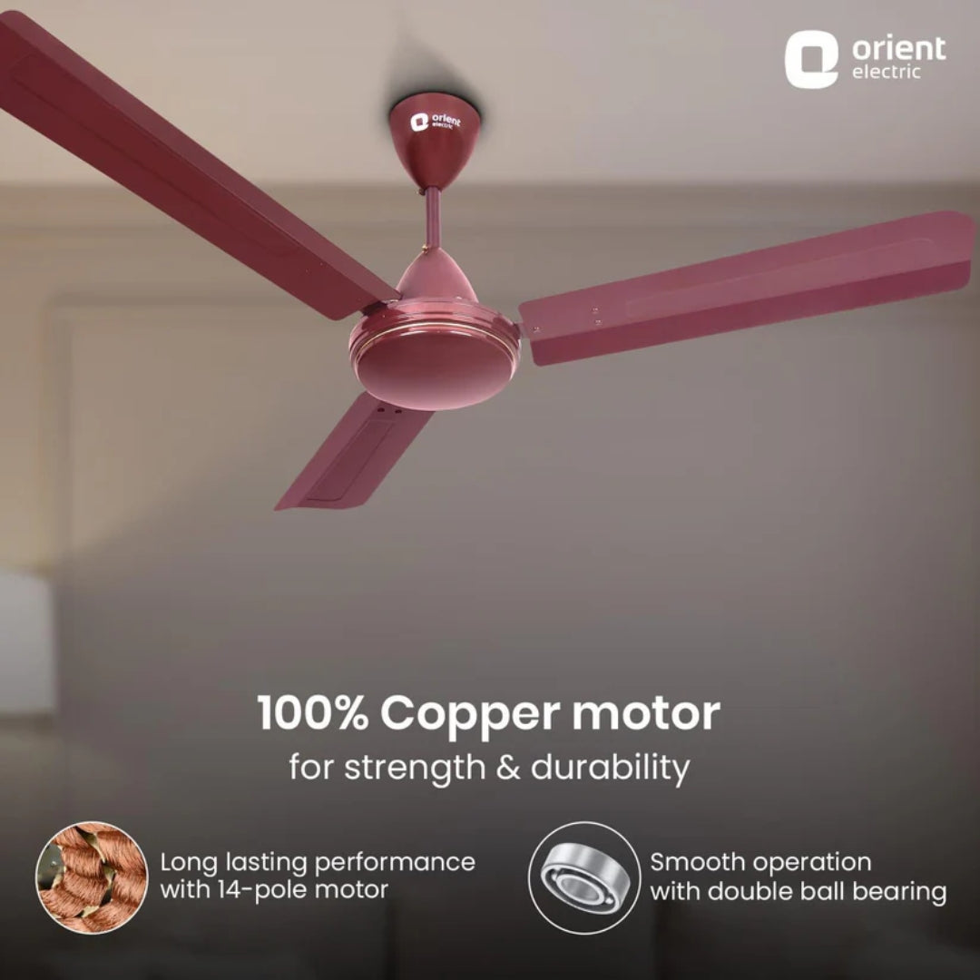 ORIENT 1200 MM Summer Breeze Pro Brown-1Star -21348220120103