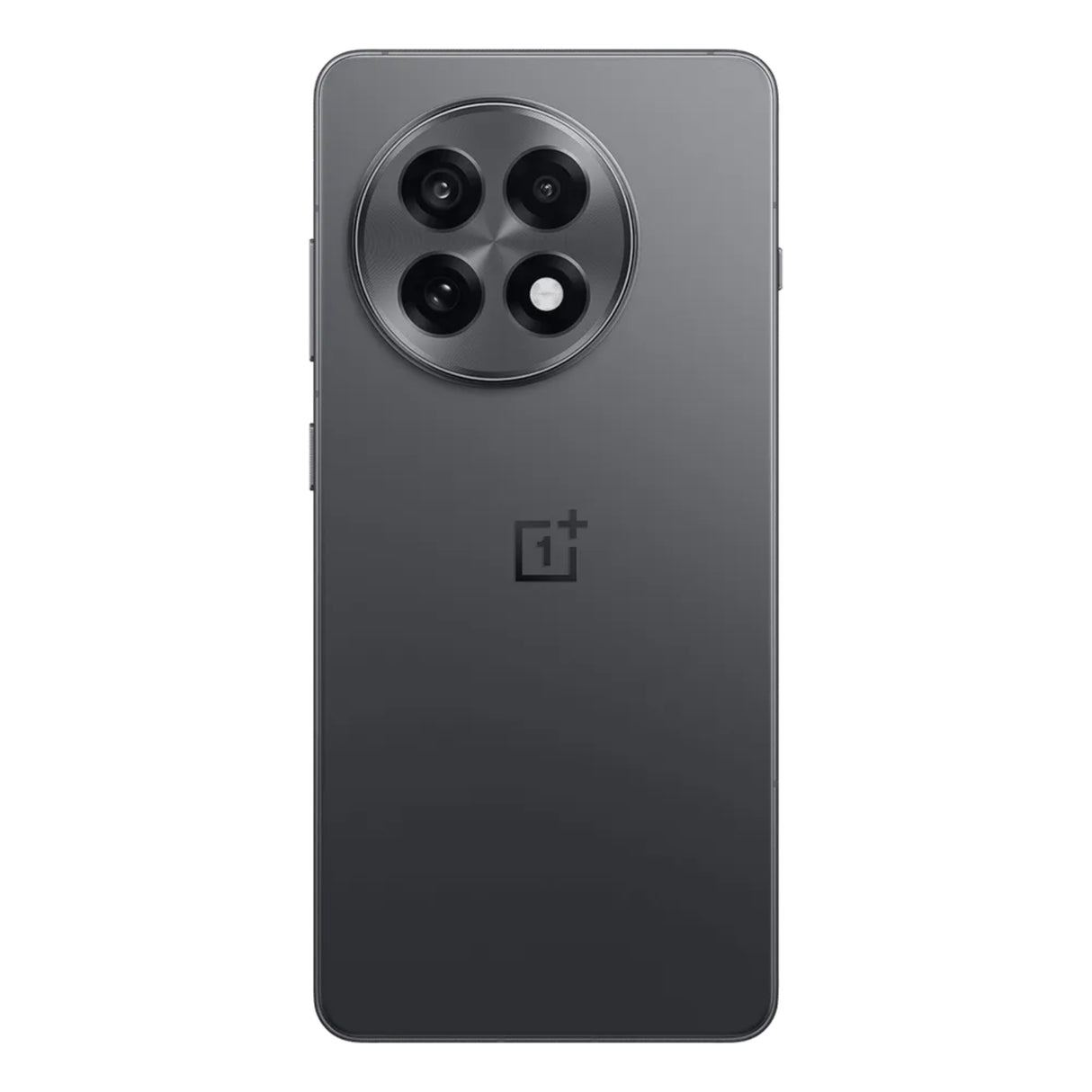 OnePlus 13R 5G (12/256 GB, Nebula Noir)