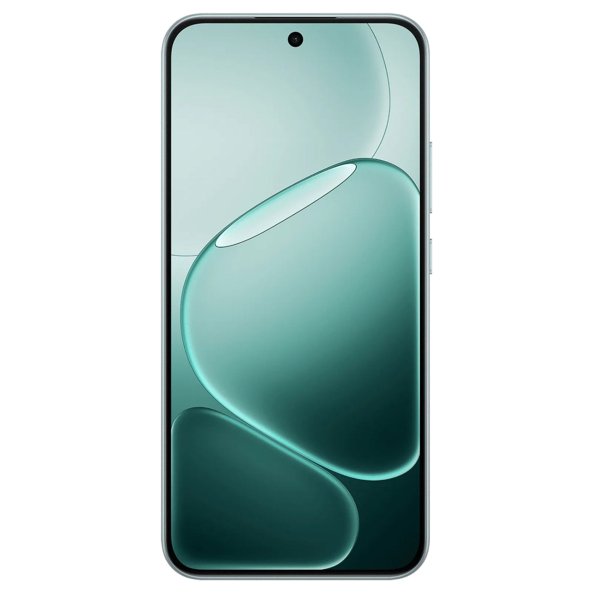 Oppo F31 5G (8/128 GB, Cloud Green)_1