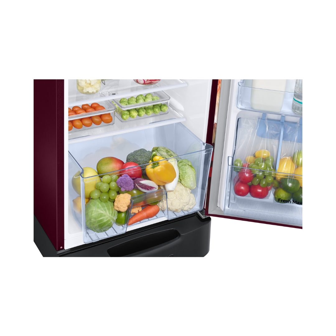 Samsung RR26H3832BR_HL Single Door Refrigerator 246 L - Begonia Red_7