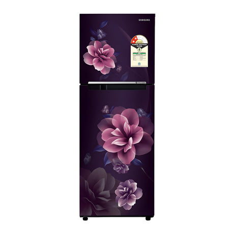 Samsung RT28C3022CRHL 236L 2-Star Frost-Free Double Door Refrigerator – Camellia Purple_1