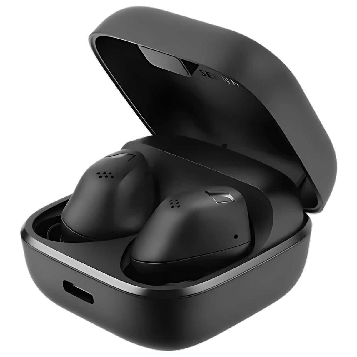 Sennheiser Accentum True Wireless Earbuds - Black_1
