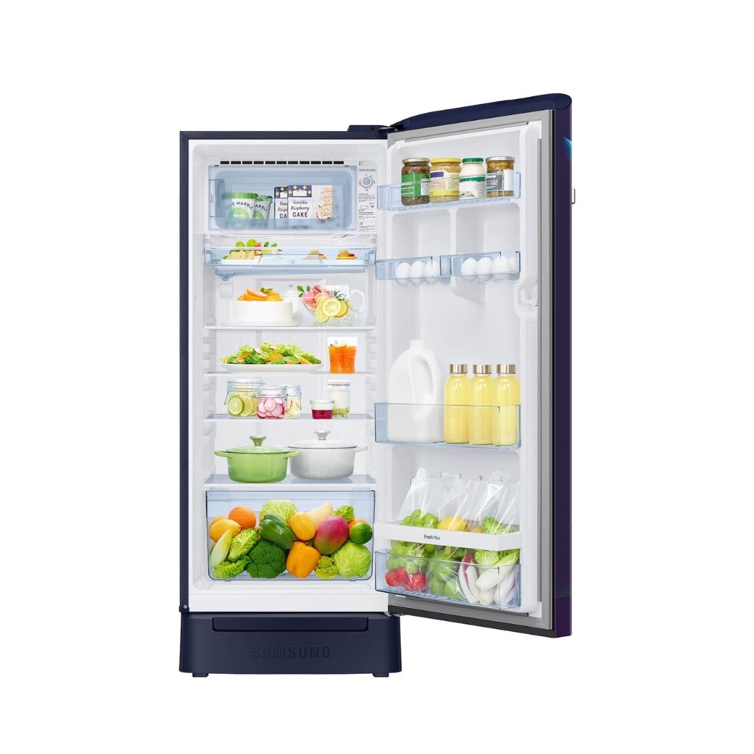 Single Door Refrigerator RR23H2H35UZ - Open View - 6