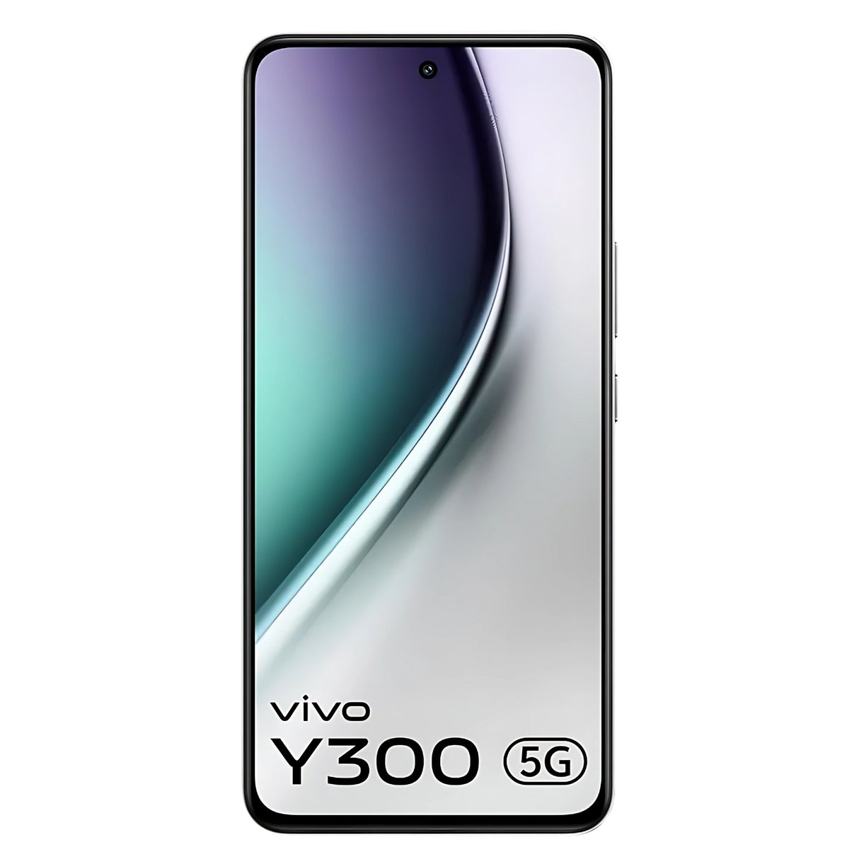 Vivo Y300 5G (8/128 GB, Titanium Silver)