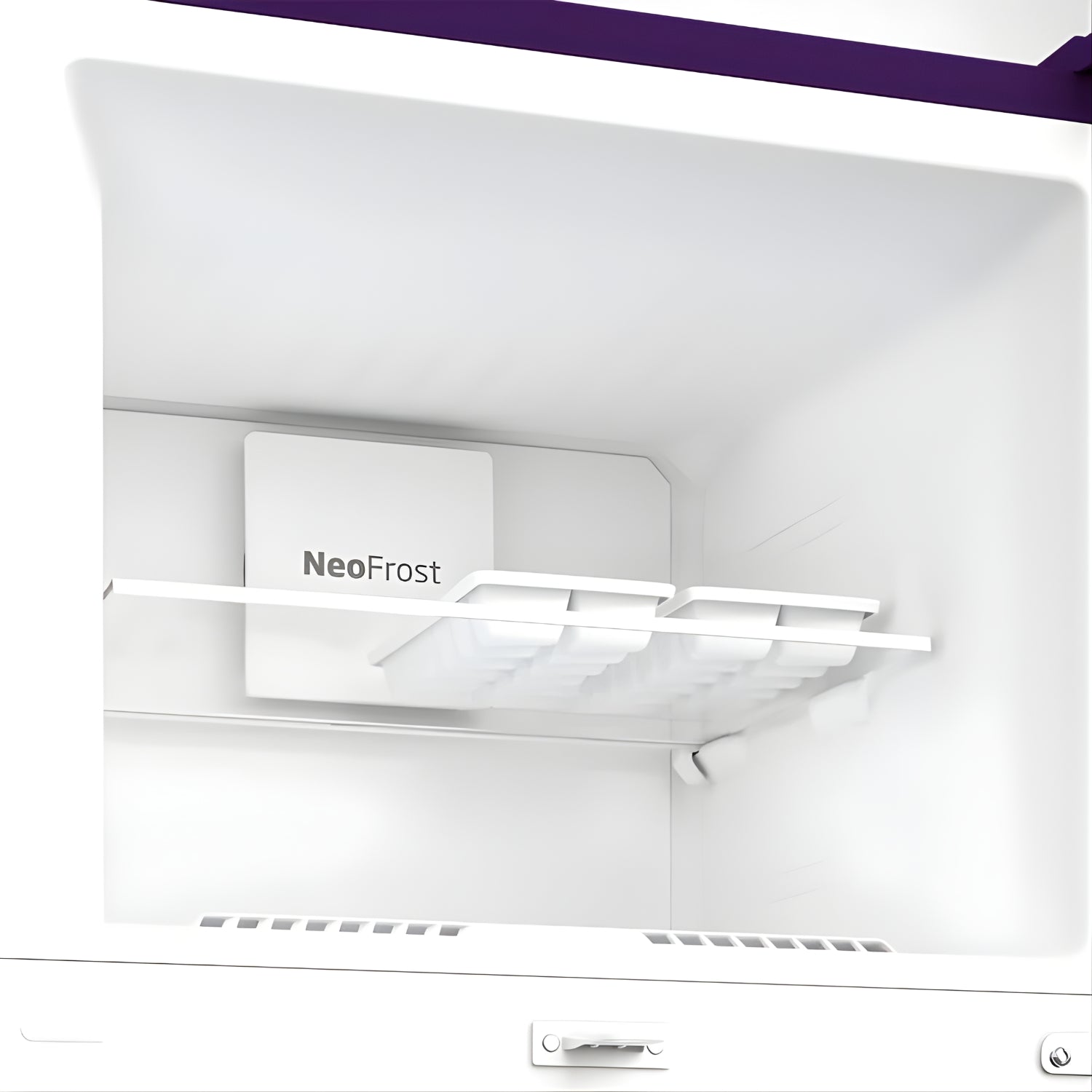 Voltas Beko RFF270D W0NPR0I0000GD 230L 2-Star Frost-Free Double Door Refrigerator - Nightangle Purple_4