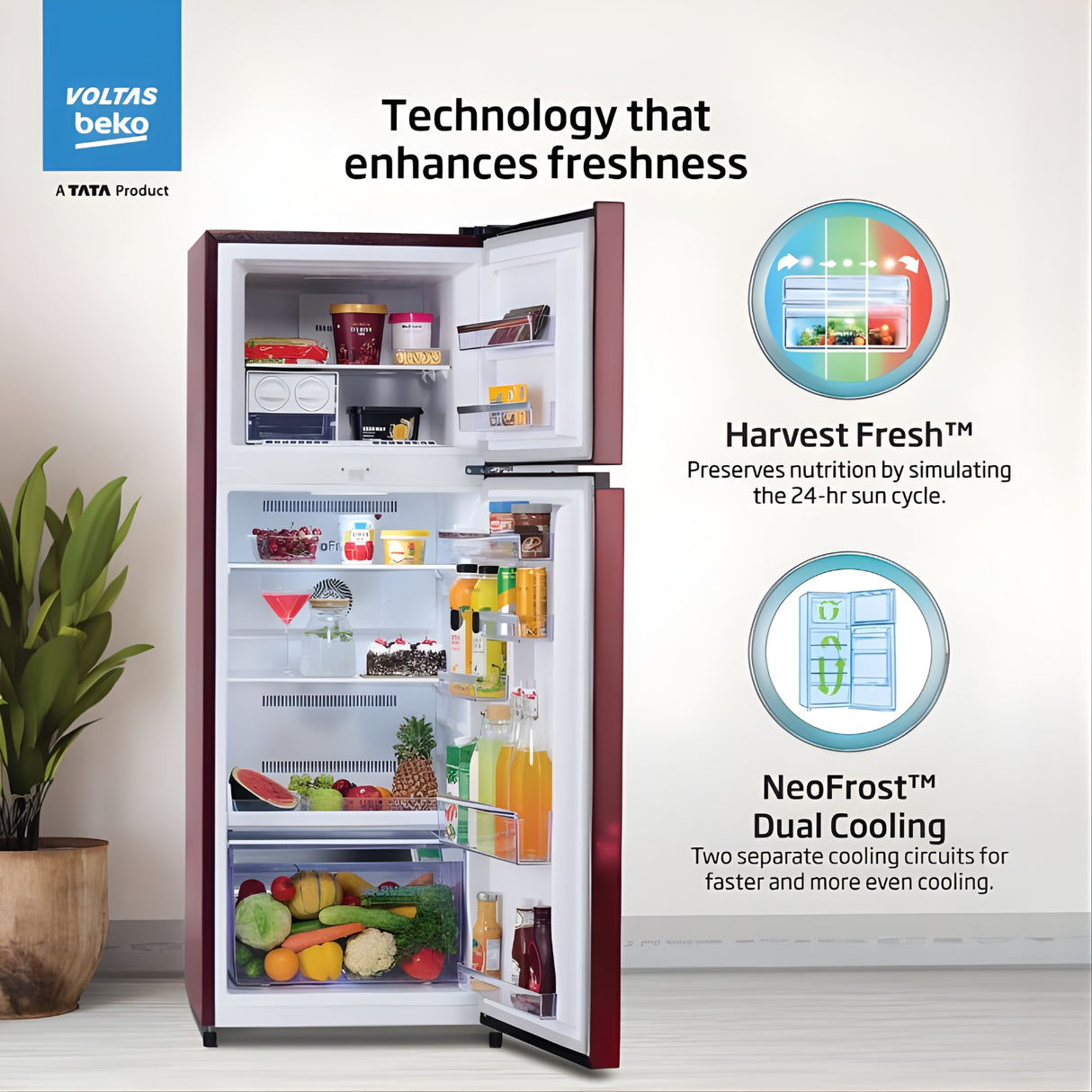 Voltas Beko RFF315D WPV300RMWD 1100935  268L 2-Star Frost-Free Double Door Refrigerator - Moonlight Wine_7