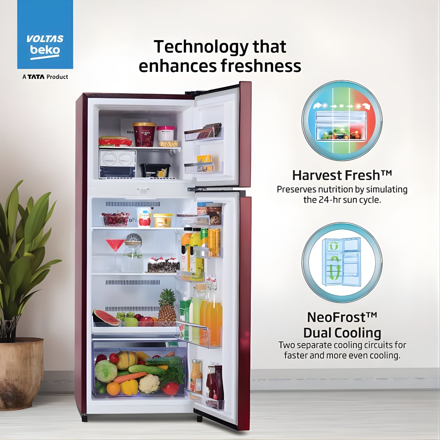 Voltas Beko RFF315D WPV300RMWD 1100935  268L 2-Star Frost-Free Double Door Refrigerator - Moonlight Wine_7